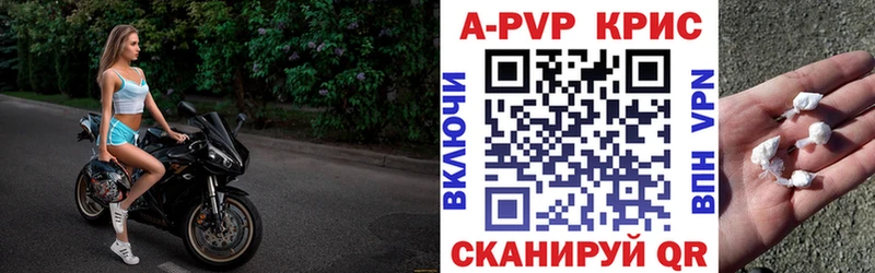 APVP СК  Махачкала 