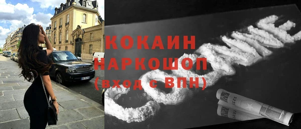 индика Алзамай