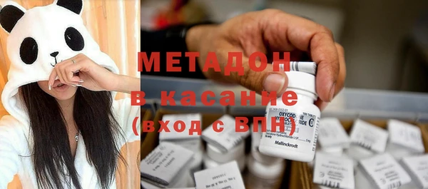 индика Алзамай