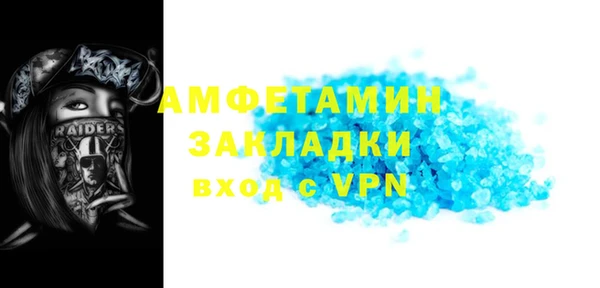 индика Алзамай