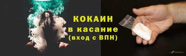 стафф Дмитровск