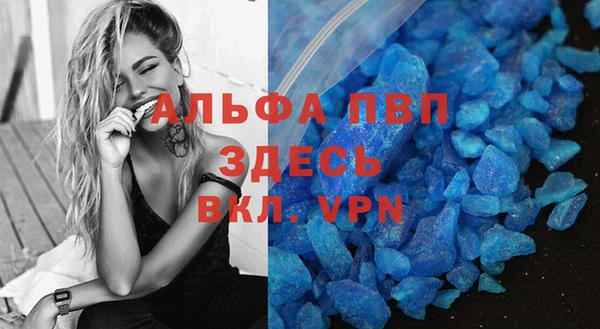 индика Алзамай