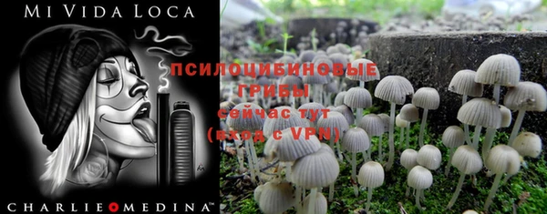 каннабис Алексин