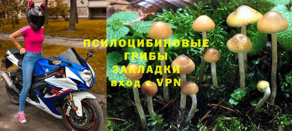 индика Алзамай