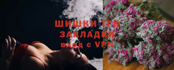 индика Алзамай