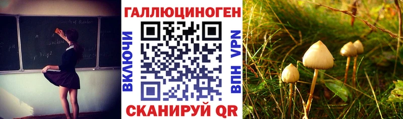 Псилоцибиновые грибы MAGIC MUSHROOMS  хочу наркоту  Махачкала 
