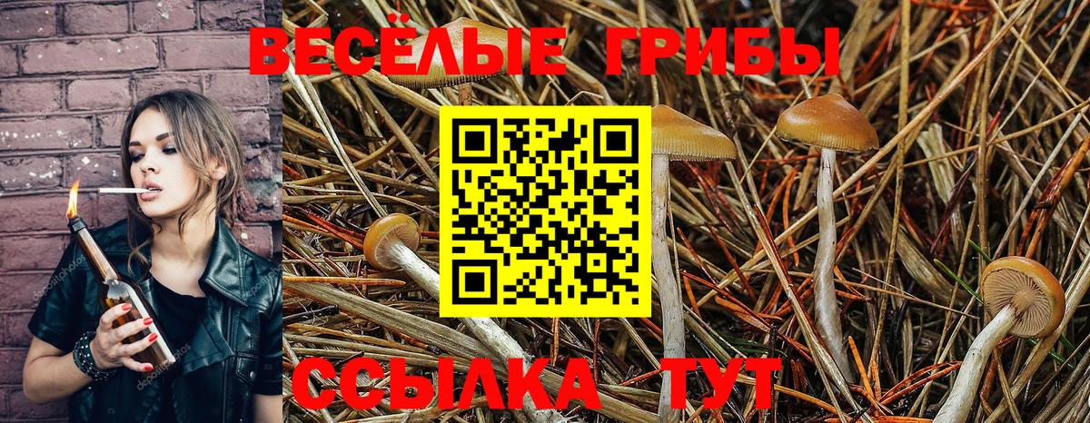 Галлюциногенные грибы прущие грибы Махачкала