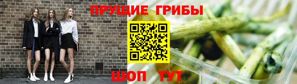 Махачкала  Псилоцибиновые грибы прущие грибы  сколько стоит  Галлюциногенные грибы Psilocybe  Вход с VPN 